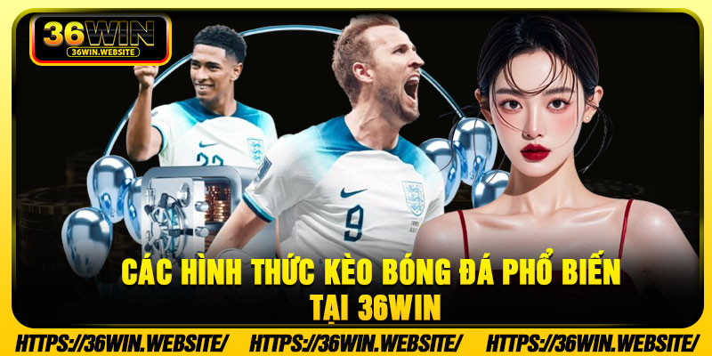 Các hình thức kèo bóng đá phổ biến tại 36Win