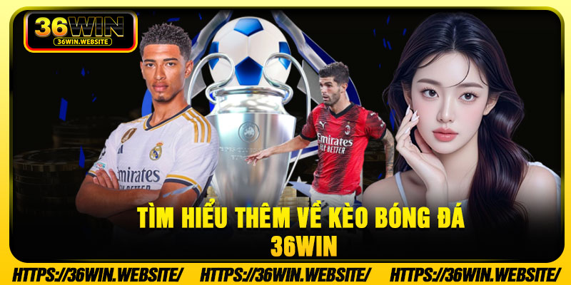 Tìm hiểu thêm về kèo bóng đá 36Win