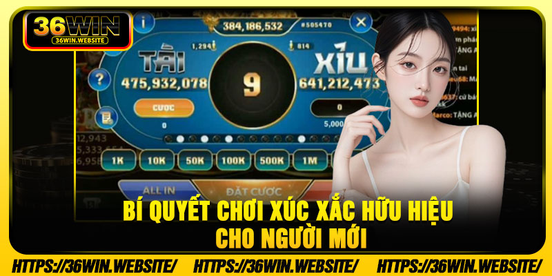 Bí quyết chơi xúc xắc hữu hiệu cho người mới