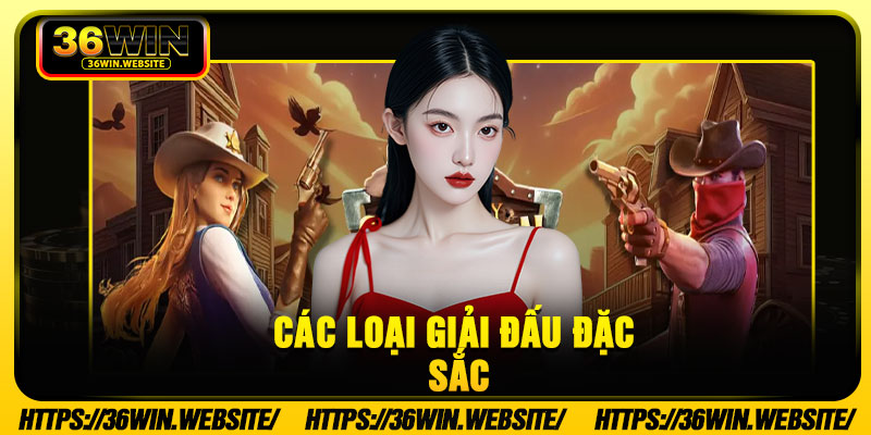 Các loại giải đấu đặc sắc